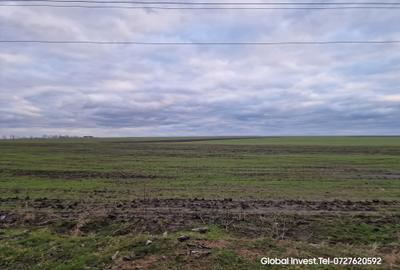 Teren agricol extravilan de 2500 mp, în Corbu - 10
