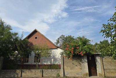 Casă cu 2 camere în Boiu - 7