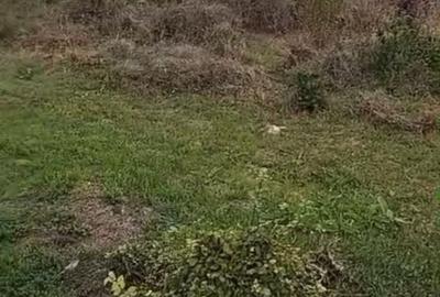 Teren de 12972 mp, în Ghiroda