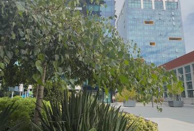 Spațiu comercial, de 291 mp, în Floreasca