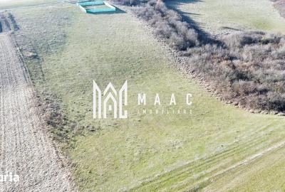 Teren de 651 mp, în Șura Mică - 6