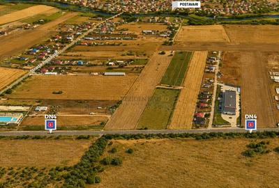 Teren agricol intravilan de 15300 mp, în Frumușani - 2