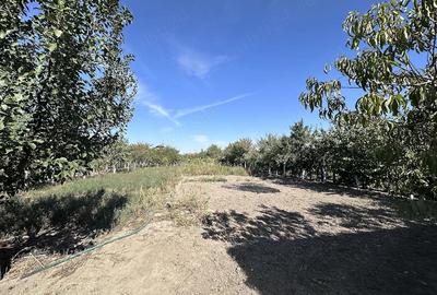 Casă cu Teren 1500 Mp în Apateu