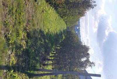 Teren de 3600 mp, în Bosanci - 6