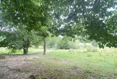 Teren de 1000 mp, în Breaza de Sus - 8