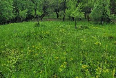 Teren de 3530 mp, în Vârfuri - 4