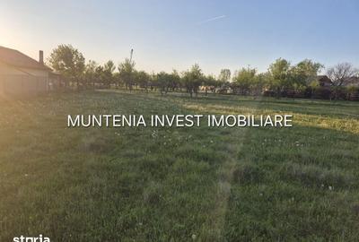Teren de 3533 mp, în Poiana Lacului - 2