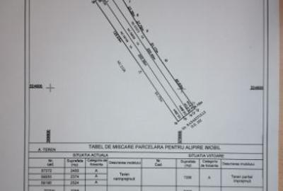 Teren intravilan de 7298 mp, în Ciorogârla - 4