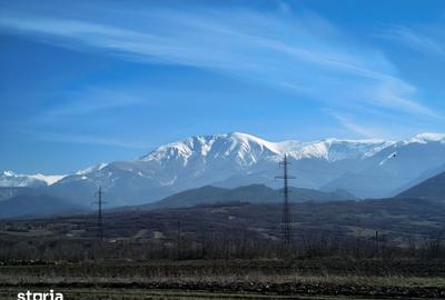 Teren de 2800 mp, în Turnu Roșu - 1