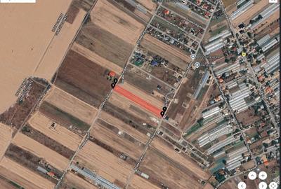 Teren Construcții intravilan de 5000 mp, în Dobreni - 1