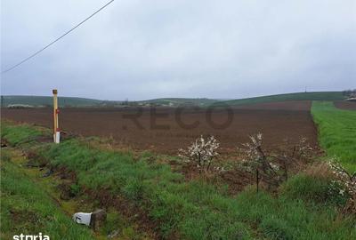Teren de 7800 mp, în Central - 1