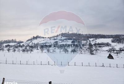 Teren de 4301 mp, în Bârsana - 4