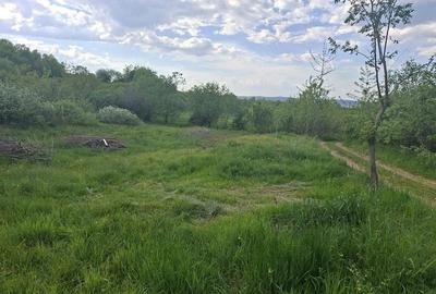 Teren de 1300 mp, în Poplaca