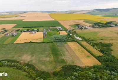 Teren de 10000 mp, în Central