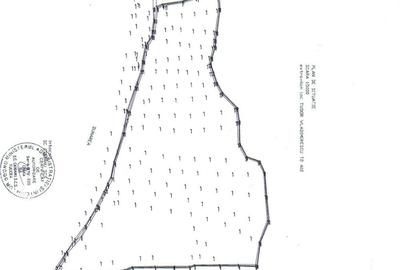 Teren de 12000 mp, în Tudor Vladimirescu - 4