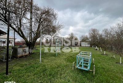 Casă cu 1 camere cu Teren 5000 Mp în Mogoșani - 16