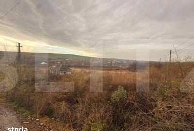Teren de 3666 mp, în Bălușeni