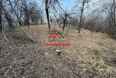Teren Construcții intravilan de 3074 mp, în Cornu de Jos (Cornu) - 9