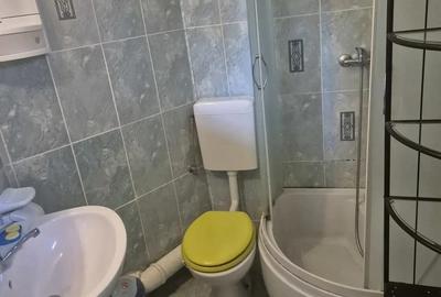 Apartament cu 2 camere semidecomandat, mobilat în Parcul Carol - 2