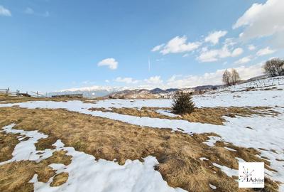 Teren Construcții extravilan de 150000 mp, în Șirnea - 12