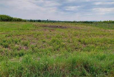 Teren de 6670 mp, în Viile Satu Mare