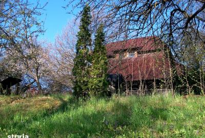 Teren de 14000 mp, în Mihai Viteazu - 1
