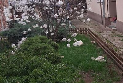 Casă cu 4 camere cu Teren 353 Mp în Republicii - 7
