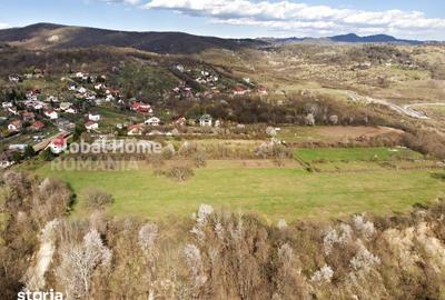 Teren de 23345 mp, în Cornu