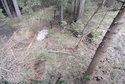 Teren de 500 mp, în Băișoara - 3