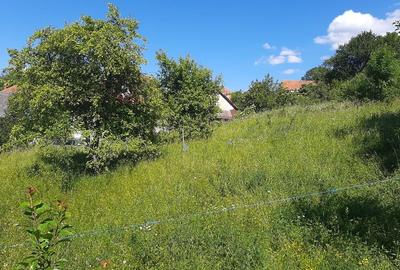 Teren de 410 mp, în Lelese - 6