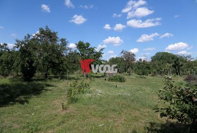 Teren Construcții intravilan de 2810 mp, în Fratelia - 3
