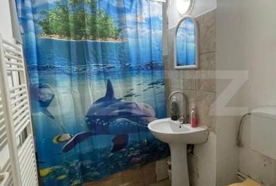 Apartament cu 3 camere decomandat în Viișoara - 3