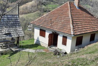 Casă cu 3 camere în Brad - 1