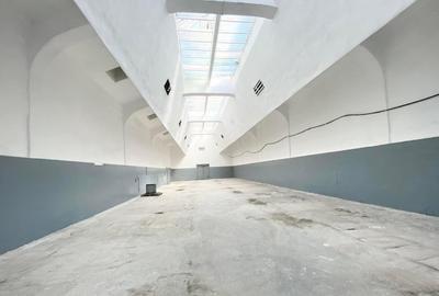 Spațiu industrial, de 120 mp, în Cisnădie