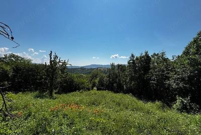 Teren de 3100 mp, în Dăești