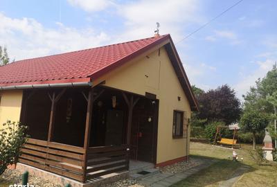 Casă cu 3 camere cu Teren 600 Mp în Sacoșu Turcesc - 10