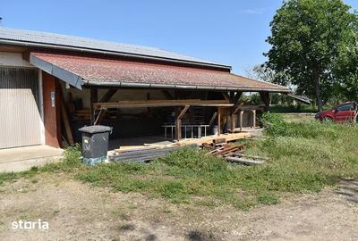 Spațiu comercial, de 356 mp, în Sântandrei - 5