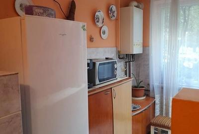 Apartament cu 2 camere semidecomandat în Săsar