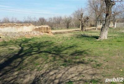 Teren de 2600 mp, în Giurgița - 9