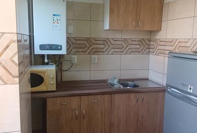 Garsonieră decomandată în Zimbru - 6