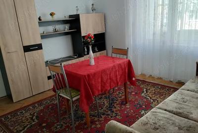 Apartament cu 2 camere nedecomandat în Cetate - 6