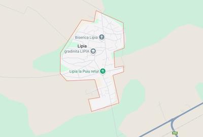 Teren agricol intravilan de 461 mp, în Lipia - 1