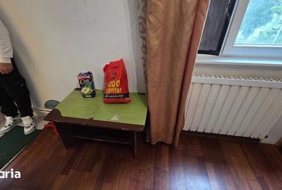 Garsonieră în Șega - 6