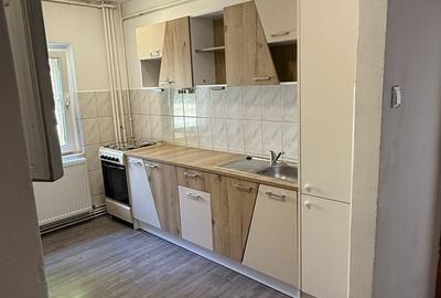 Apartament cu 2 camere semidecomandat în Micălaca - 7