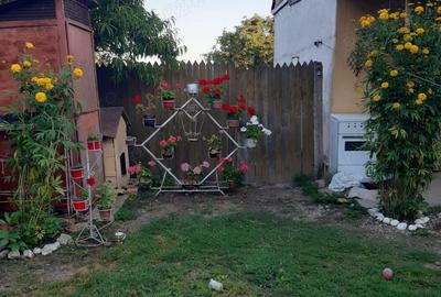 Casă cu 6 camere cu Teren 1401 Mp în Alioș - 6