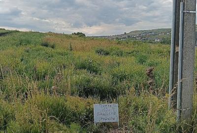 Teren de 505 mp, în Central