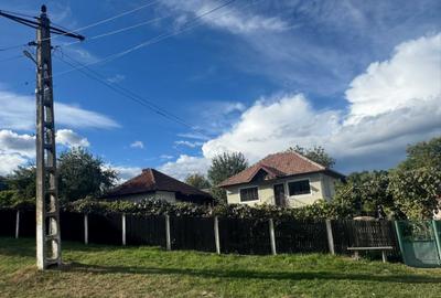 Casă cu 4 camere în Alimpești