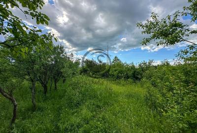 Teren agricol intravilan de 3600 mp, în Gura Vitioarei - 4