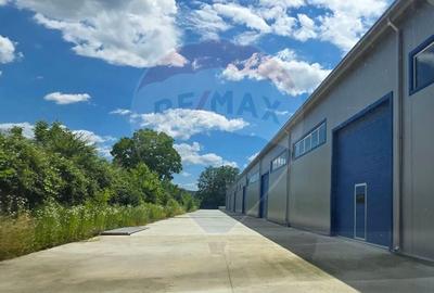 Spațiu industrial, de 9,618 mp, în Central - 6