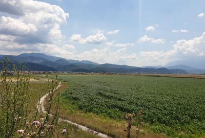Teren Construcții intravilan de 34000 mp, în Cristian - 5